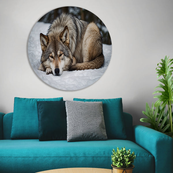 Slapende wolf in winterlandschap forex muurcirkel