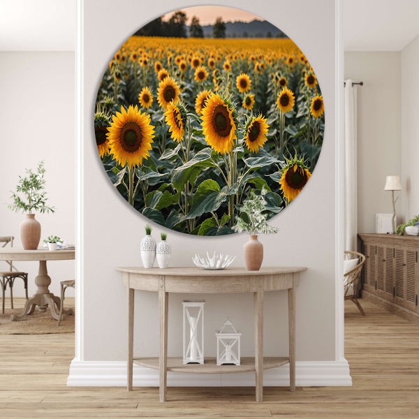 Uitgestrekt zonnebloemveld bij zonsondergang aluminium muurcirkel