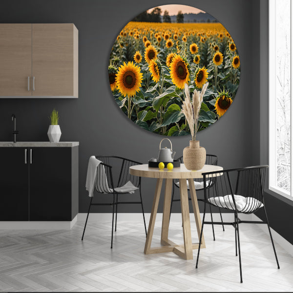 Uitgestrekt zonnebloemveld bij zonsondergang aluminium muurcirkel
