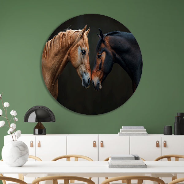 Twee paarden in donkere omgeving forex muurcirkel