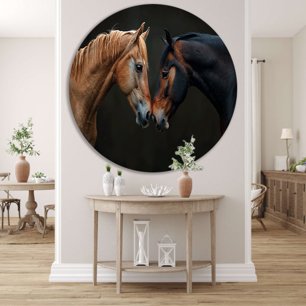 Twee paarden in donkere omgeving forex muurcirkel