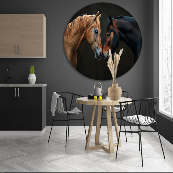 Twee paarden in donkere omgeving forex muurcirkel