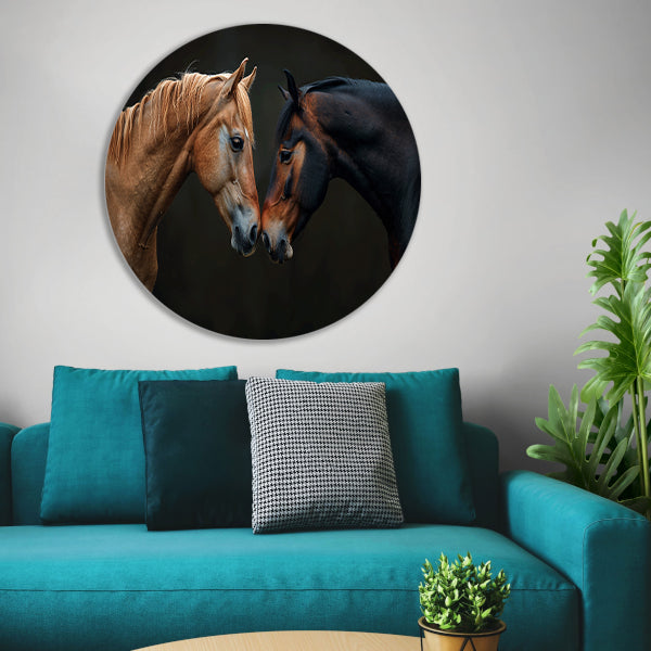 Twee paarden in donkere omgeving forex muurcirkel