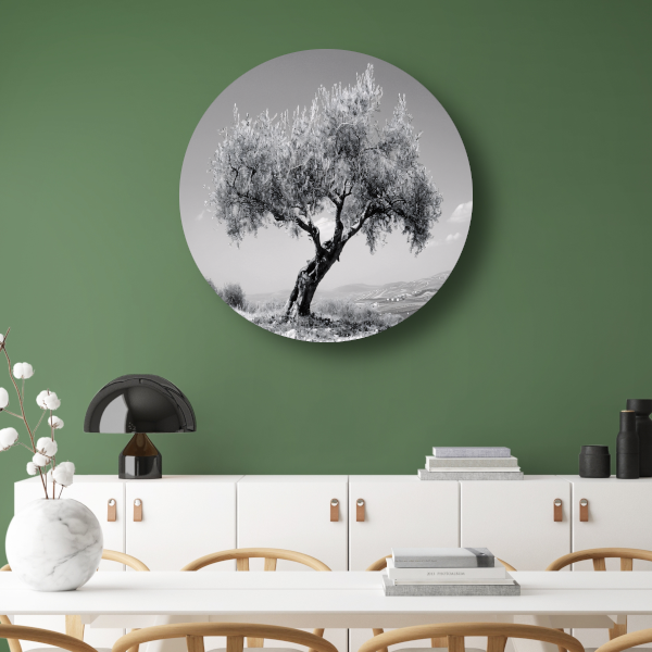 Zwart-wit olijfboom landschap aluminium muurcirkel