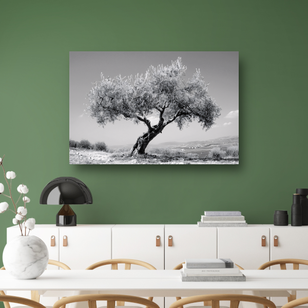 Zwart-wit olijfboom landschap poster