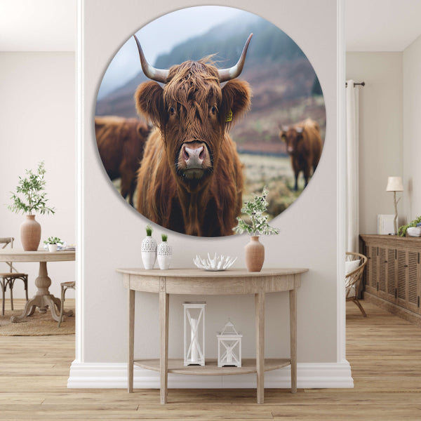 Schotse hooglander in mistig landschap forex muurcirkel