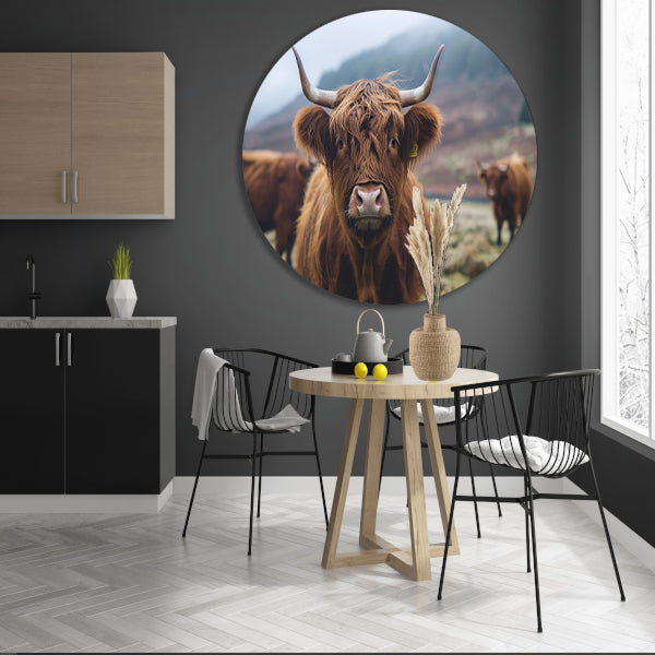 Schotse hooglander in mistig landschap forex muurcirkel
