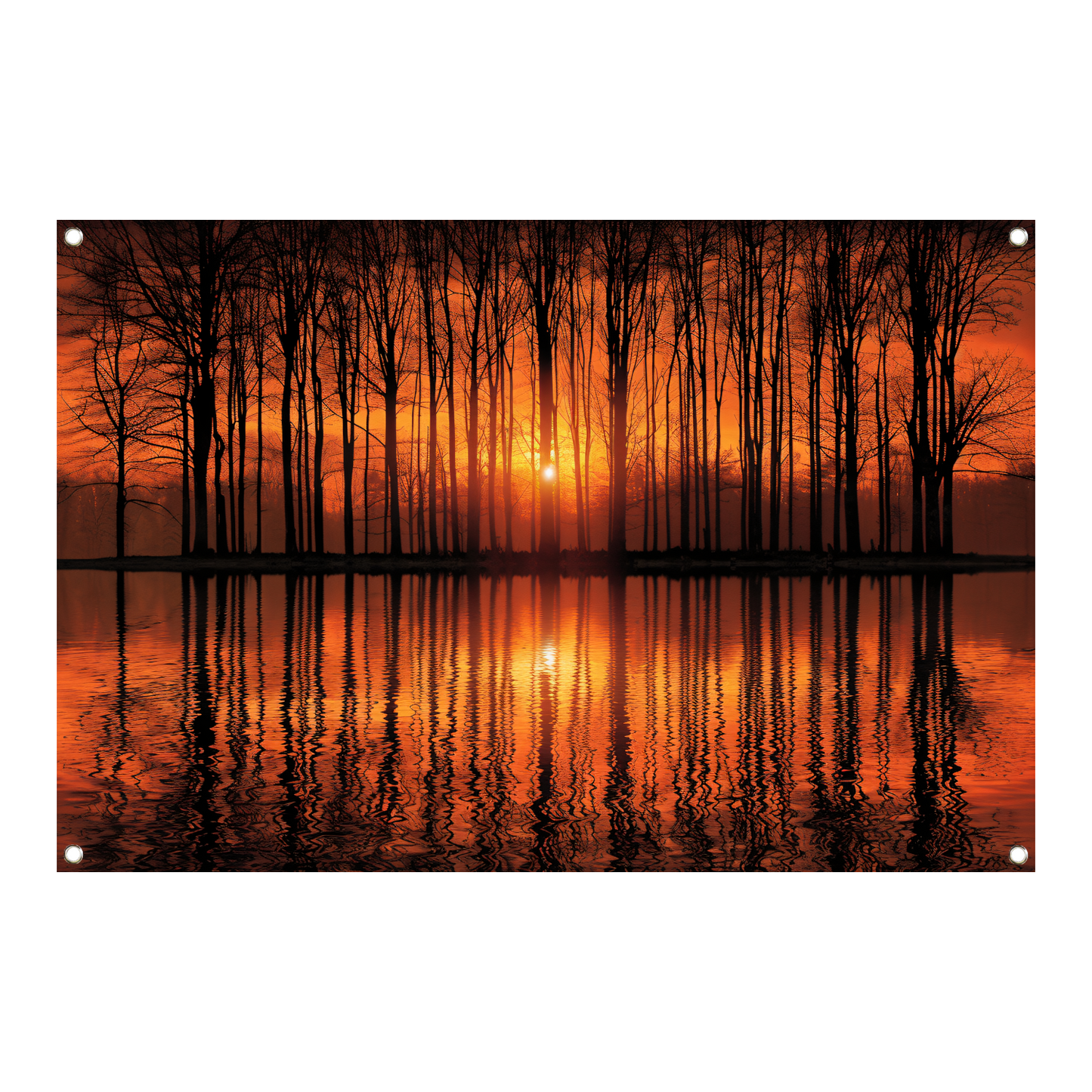 Mystieke zonsondergang in bos bij meer tuinposter
