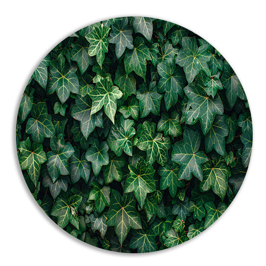 Minimalistisch klimop aluminium muurcirkel