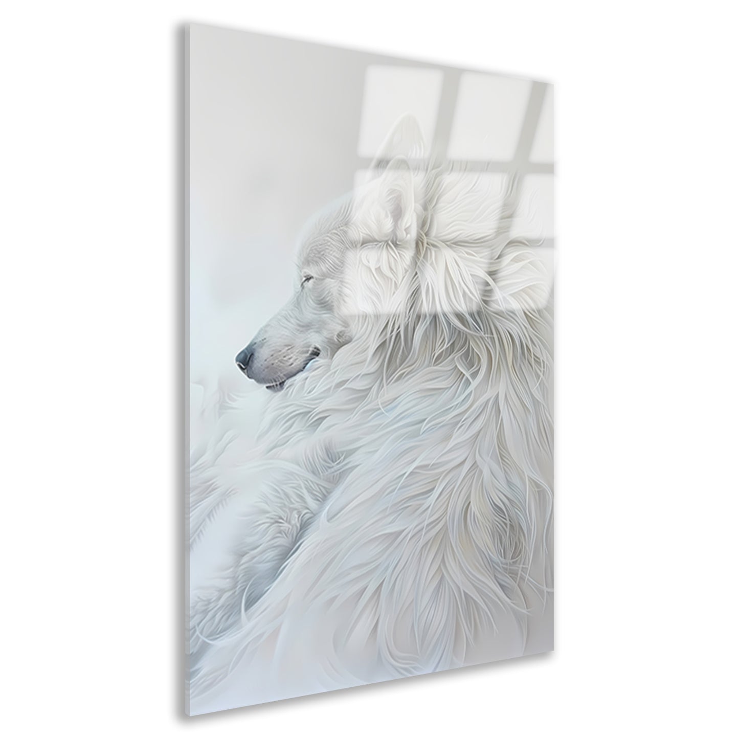 Minimalistisch schilderij van een slapende hond acrylglas