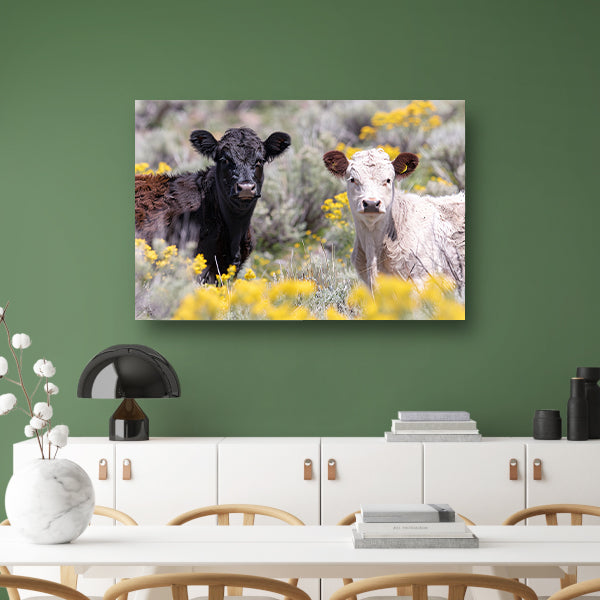 Twee Jonge Kalfjes in een Bloemenveld canvas