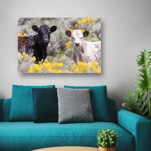 Twee Jonge Kalfjes in een Bloemenveld canvas