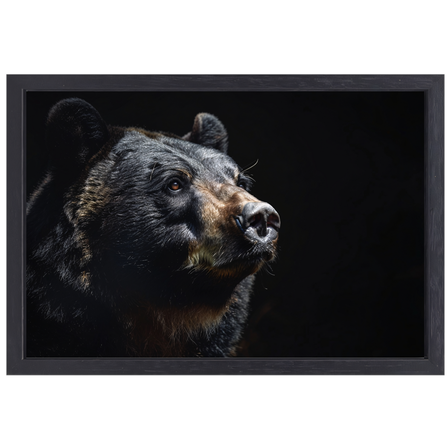 Berenportret in Contrastrijk Zwart-wit canvas met baklijst