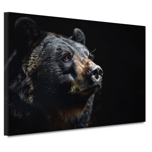Berenportret in Contrastrijk Zwart-wit canvas