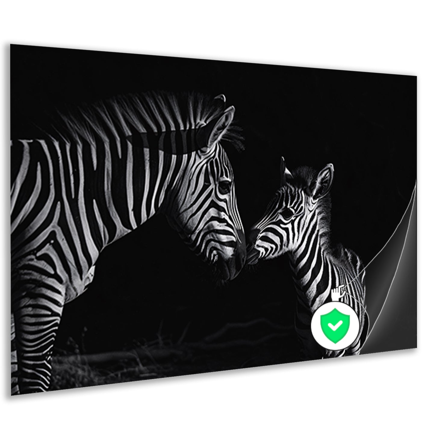 Zebra moeder en veulen in zwart-wit poster