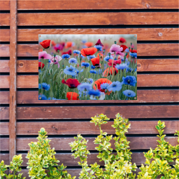 Een levendig veld van papavers en korenbloemen tuinposter
