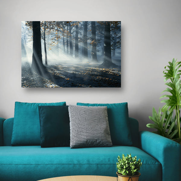 Mistig Bos met Zonnestralen en Schaduwen poster