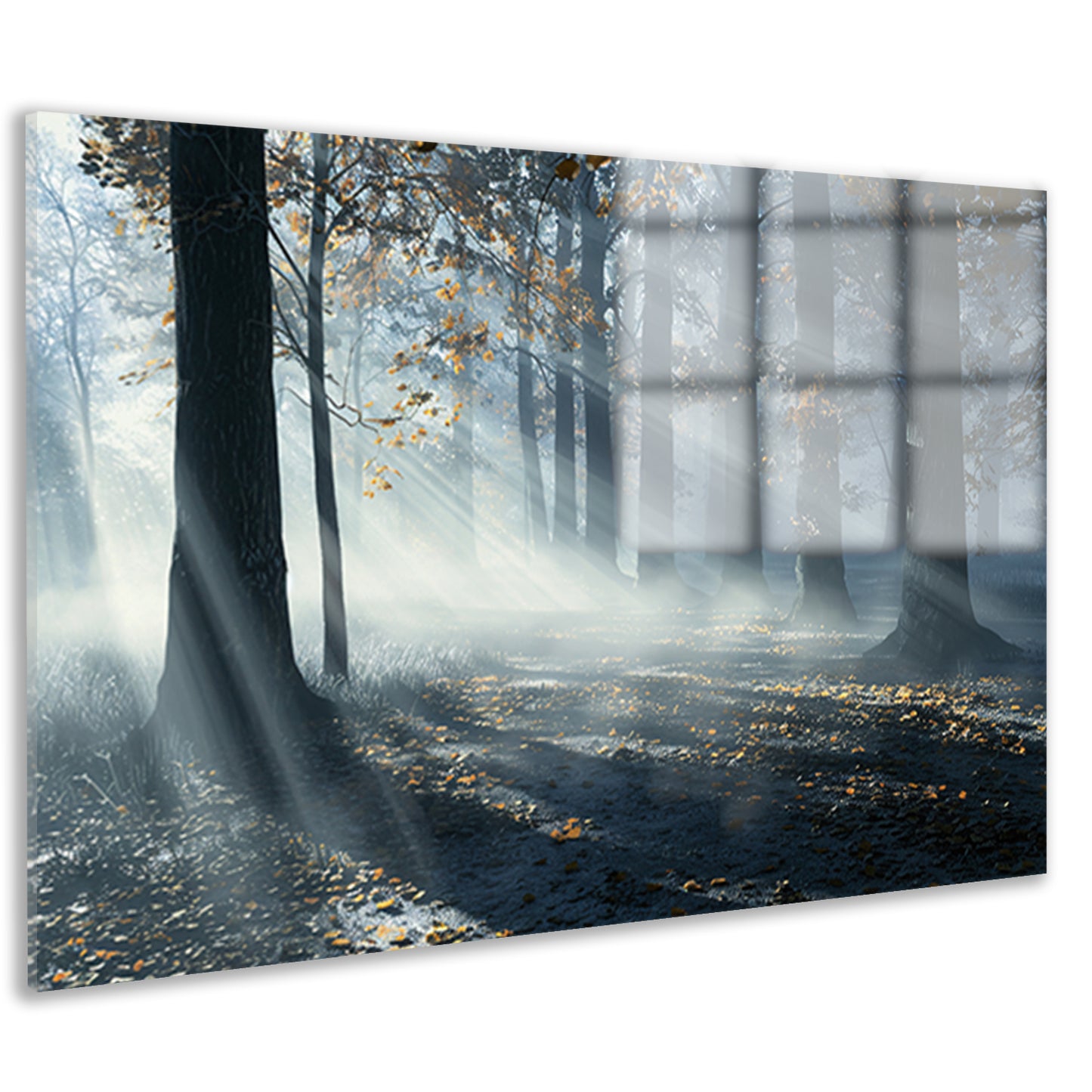 Mistig Bos met Zonnestralen en Schaduwen acrylglas