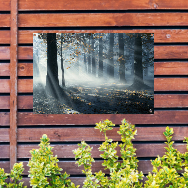 Mistig Bos met Zonnestralen en Schaduwen tuinposter