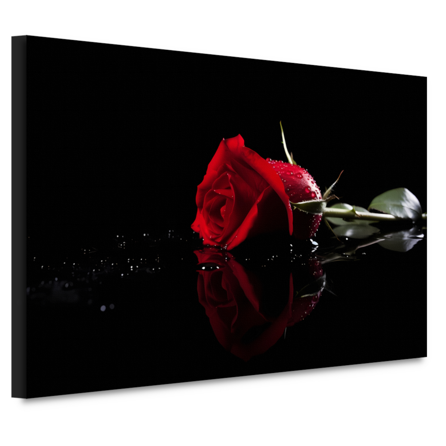 Rode roos met waterdruppels in close-up canvas
