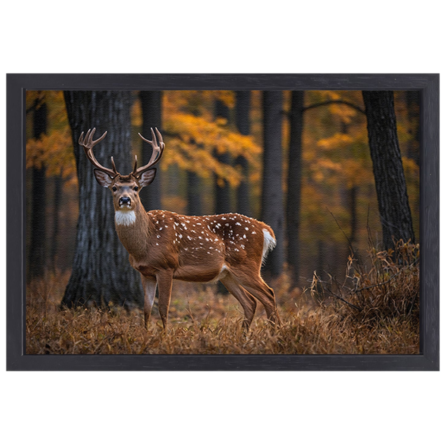 Majestueus hert in het herfstbos canvas met baklijst
