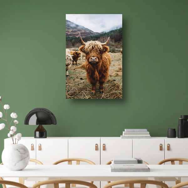 Schotse Hooglander in Mistig Landschap poster