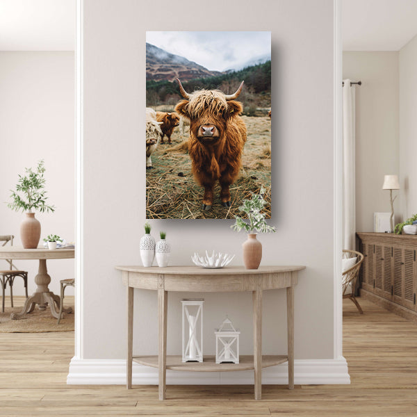 Schotse Hooglander in Mistig Landschap acrylglas