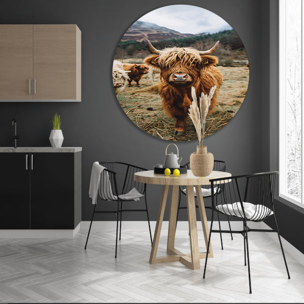 Schotse Hooglander in Mistig Landschap forex muurcirkel
