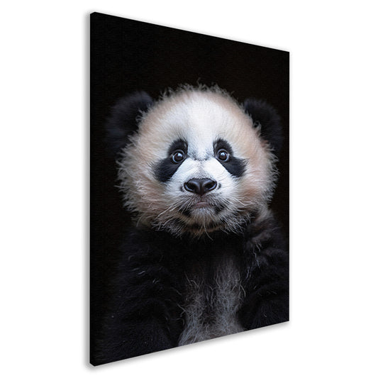 Portret van een Jonge Panda in Zwart-Wit canvas