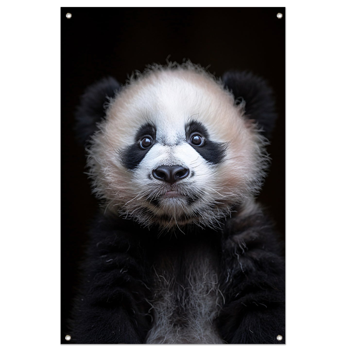 Portret van een Jonge Panda in Zwart-Wit tuinposter