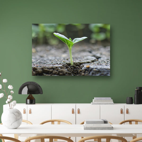 Spruit doorbreekt aarde in minimalistisch beeld canvas