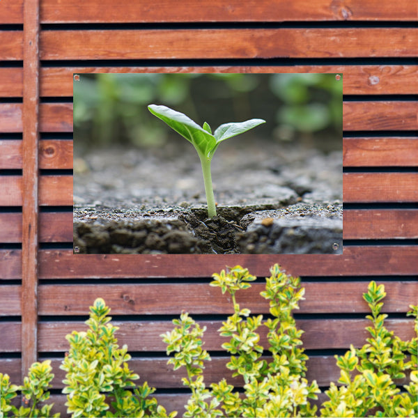 Spruit doorbreekt aarde in minimalistisch beeld tuinposter