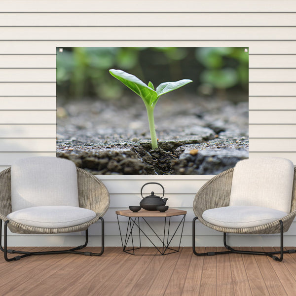 Spruit doorbreekt aarde in minimalistisch beeld tuinposter