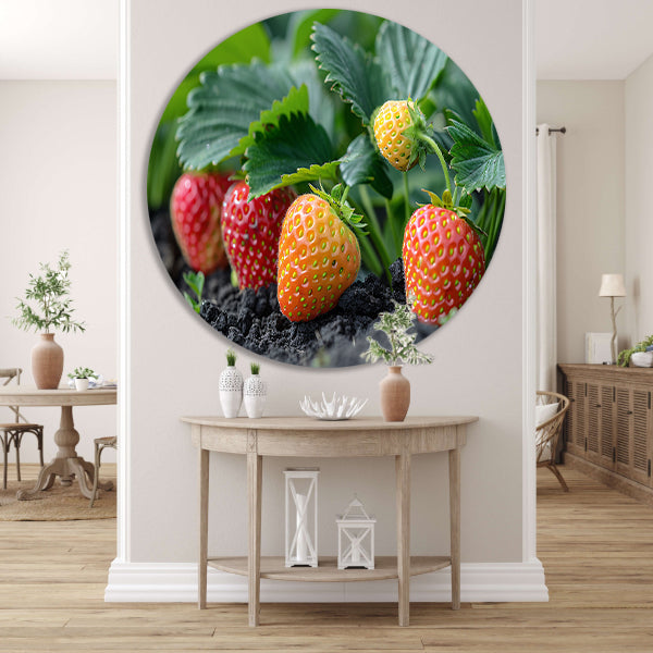 Rijpe Aardbeienplant forex muurcirkel