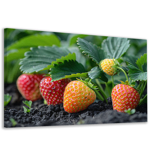 Rijpe Aardbeienplant canvas