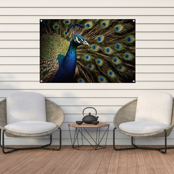 De Koninklijke Pracht van een Pauw tuinposter