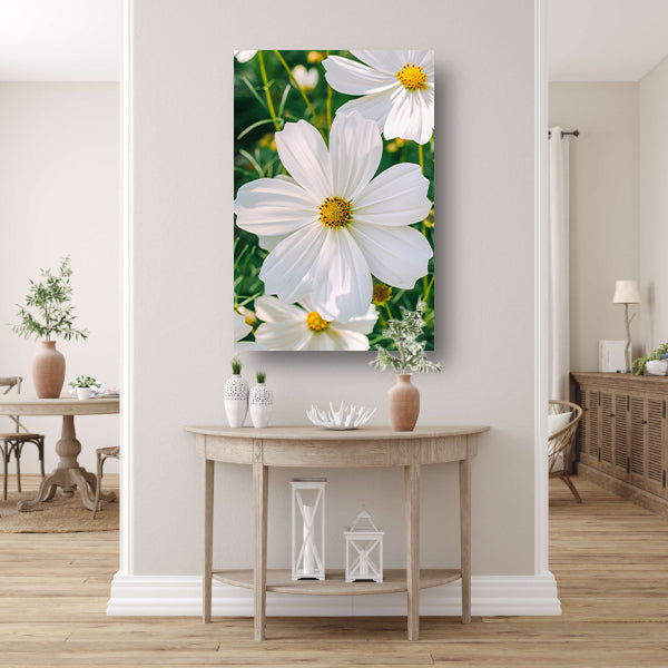 Close-up van een witte Cosmos bloem canvas