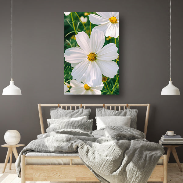 Close-up van een witte Cosmos bloem canvas