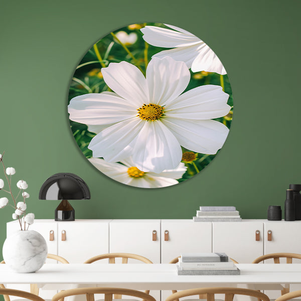 Close-up van een witte Cosmos bloem forex muurcirkel