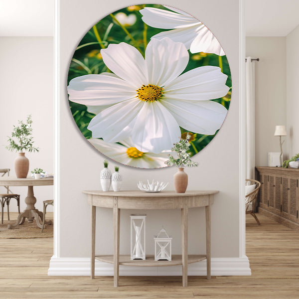 Close-up van een witte Cosmos bloem forex muurcirkel