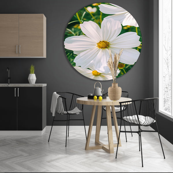 Close-up van een witte Cosmos bloem forex muurcirkel
