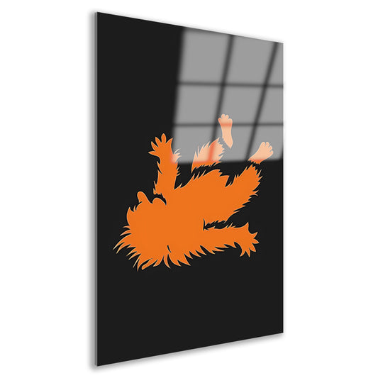 Oranje rat valt over zwarte achtergrond acrylglas