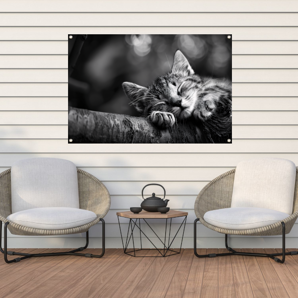 Slapende kitten op boomtak tuinposter