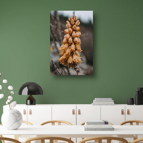 Close-up van een Bloeiende Bloem acrylglas