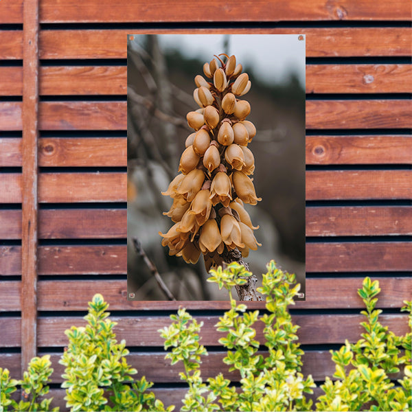 Close-up van een Bloeiende Bloem tuinposter