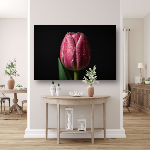 Roze Tulp met Dauw op Zwarte Achtergrond canvas met baklijst
