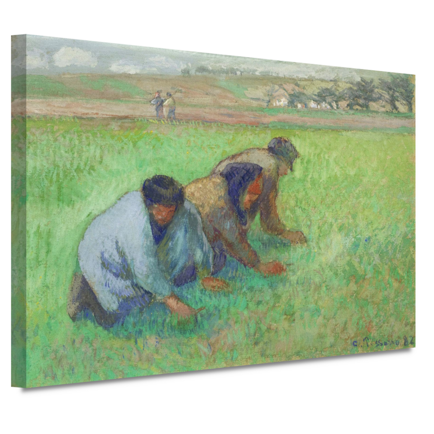 De Wieders - Camille Pissarro canvas