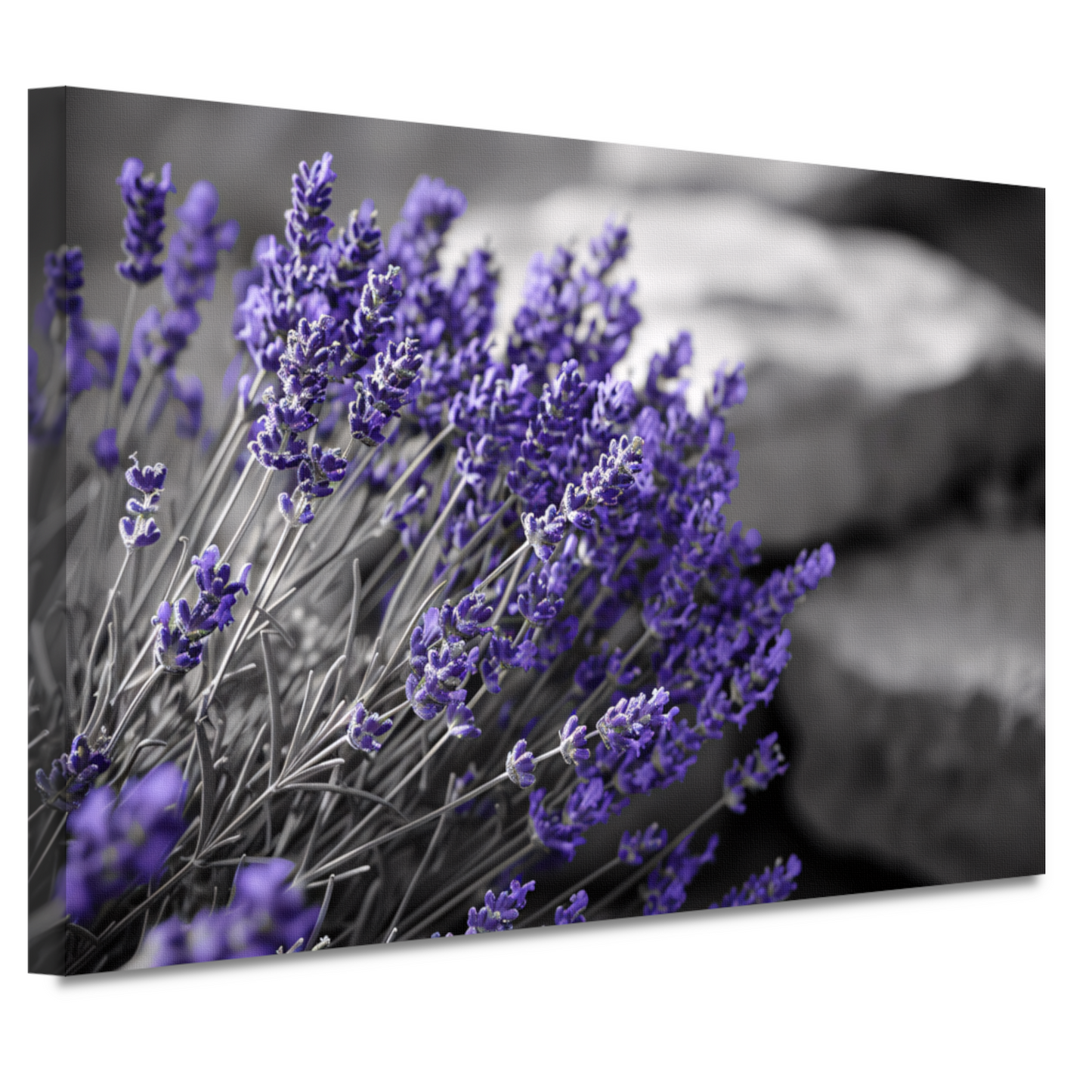 Abstracte paarse bloemen canvas