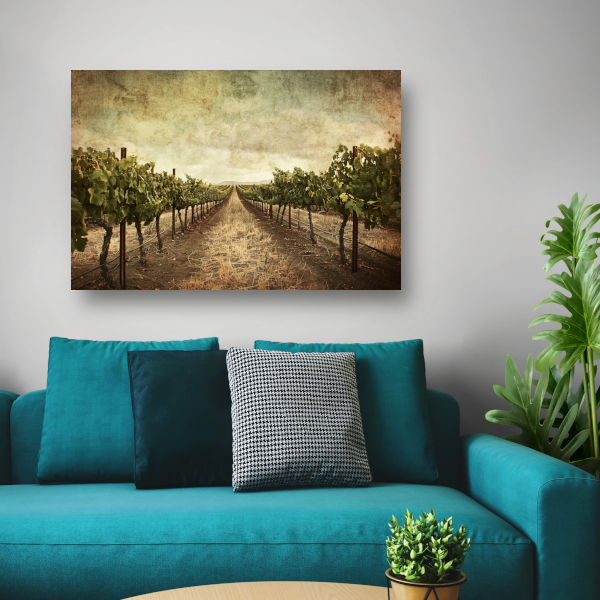 Sepia Wijngaard Landschap met Rijpe Druiven canvas