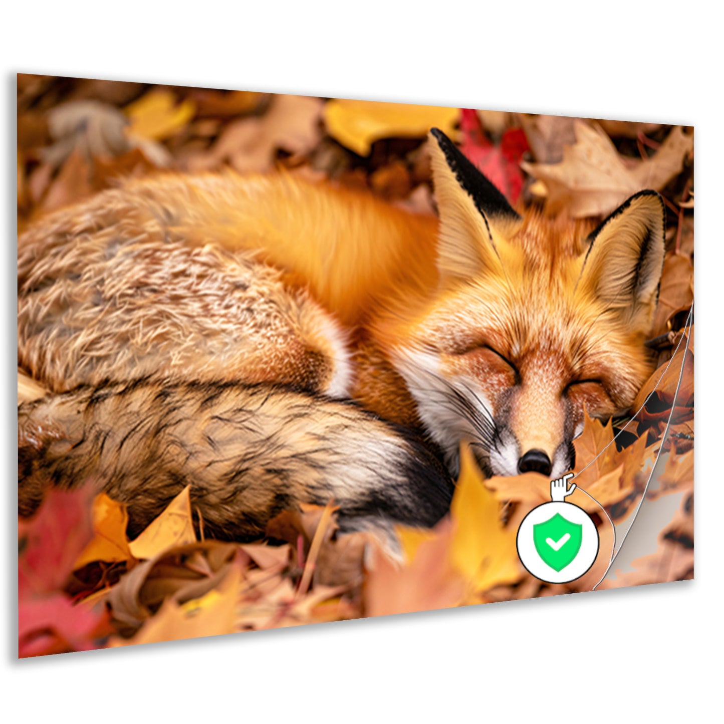 Slapende vos in herfstkleuren poster
